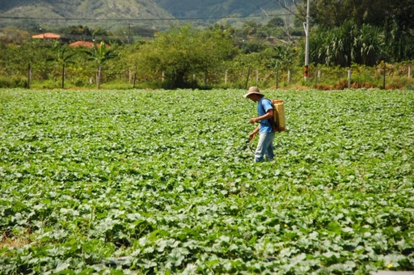 Secretaría de Agricultura del Valle socializa programa de Compras