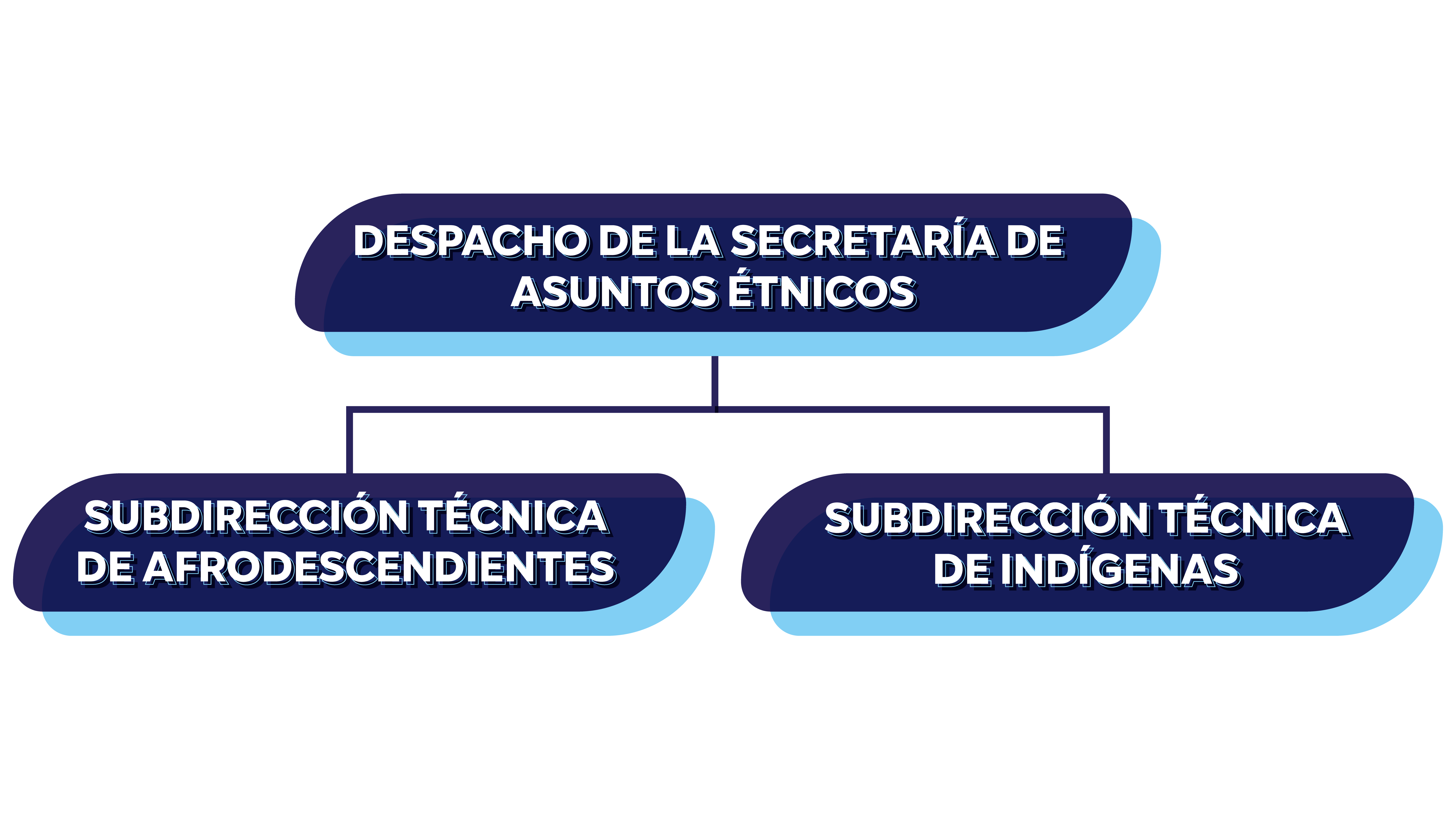 ORGANIGRAMA DE LA SECRETARÍA DE ASUNTOS ÉTNICOS