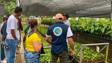 Conversatorio Colectivo Miradas: Cambiar los fusiles por las cámaras para retratar la construcción de paz y la protección de la naturaleza en los territorios