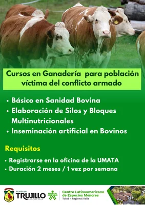 Cursos para población víctima del conflicto armado en Trujillo 