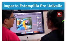 Impacto Estampilla Pro Univalle