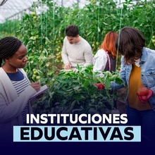 Instituciones educativas