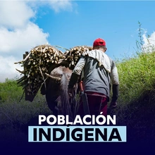 Población indigena 