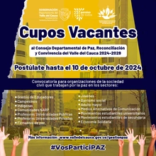 Cupos vacantes Convocatoria Conformación Consejo Departamental de Paz 2024-2028