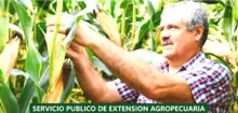 Servicio publico de extension agropecuaria