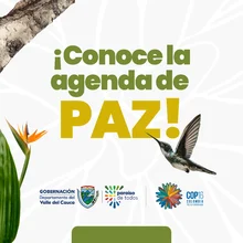 Agenda de paz en la COP 16