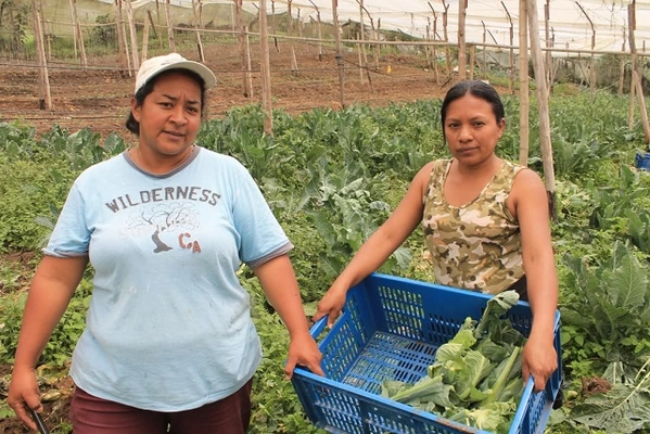 Secretaría de Agricultura acata medidas del Gobierno nacional para aliviar la situación económica de los campesinos