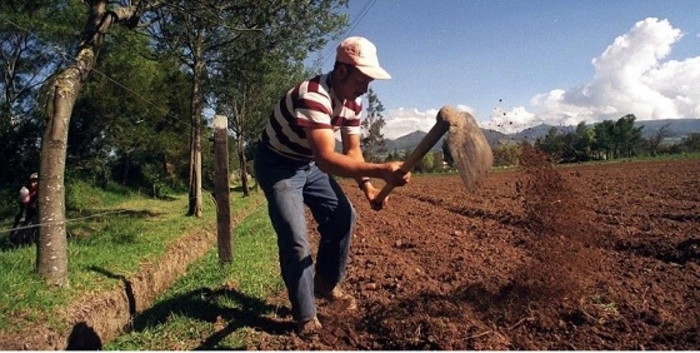 Recomendaciones para la prevención del Covid-19 en actividades agrícolas y ganaderas