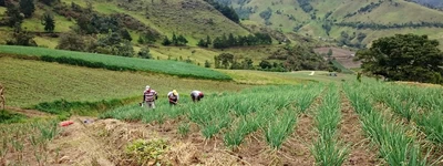 Secretaría de Agricultura presentó Plan de Desarrollo en 1er CONSEA del año