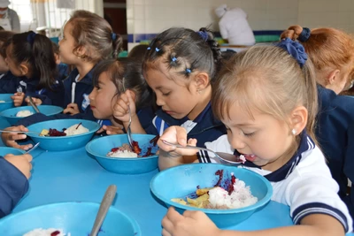 Conformación del Comité de Alimentación Escolar en los establecimientos educativos–CAE- 