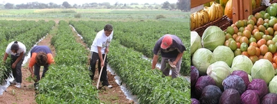 Hasta este 10 de Junio hay plazo para postularse a beneficios de Alianzas Productivas del Ministerio de Agricultura