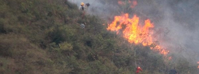 Gobernadora del Valle pide evitar quemas  en zonas de riesgo de incendios