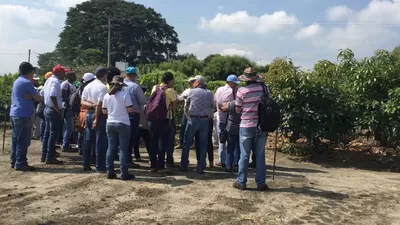 Docentes y Directivos Docentes de especialidad agro se capacitan con el SENA-Clem Tuluá 