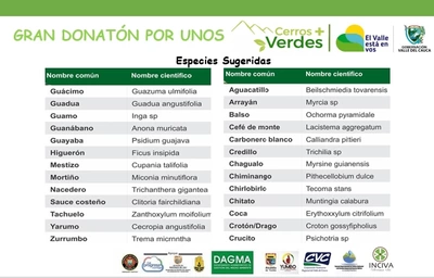 Este jueves inicia donatón de árboles  para reforestar cerros de Cali y Dapa