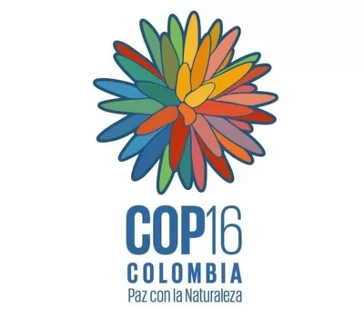 La COP16, el sueño de región que se hizo realidad