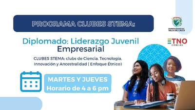 Diplomado ¨Liderazgo Juvenil Empresarial Étnico¨