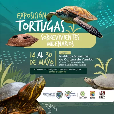 Conozca la exposición ‘Tortugas Sobrevivientes Milenarias’, que se exhibe en Yumbo