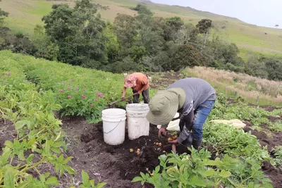 Valle del Cauca será el primer departamento con Plan Agroecológico