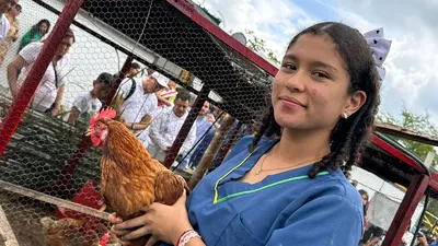 Estudiantes del Valle que crían ‘gallinas felices’ con ayuda de la tecnología