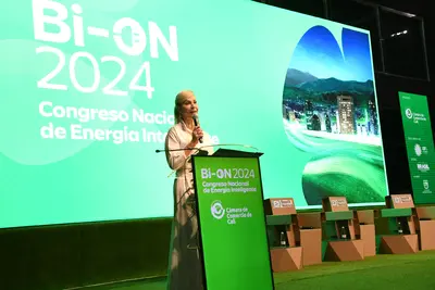 “Para el Valle la transición energética no es una opción, sino una necesidad”: Dilian Francisca Toro