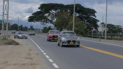 Gobernadora del Valle solicitó a la ANI evitar arboricidio en proyecto vial de  Mediacanoa