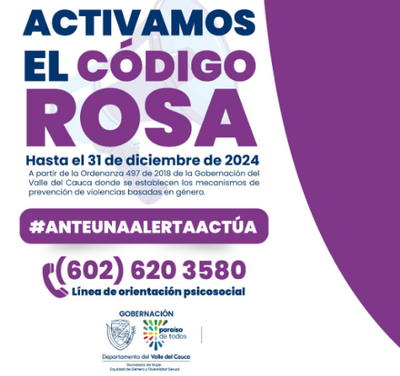 Gobernadora ordena activar el Código Rosa en el Valle, para prevenir violencias basadas en género