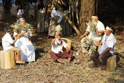 El Ministerio de las Culturas, las Artes y los Saberes, y la Biblioteca Nacional trabajan en conjunto por rescatar los saberes de las comunidades indígenas del Amazonas