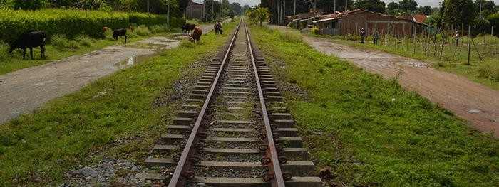 Gobernadora plantea solución a movilidad de Cali con Tren Tranvía