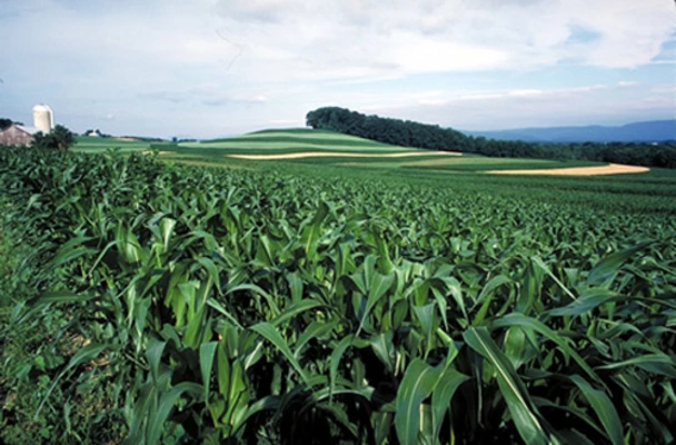 Secretaría de Agricultura inicia balance de año con evaluaciones agropecuarias