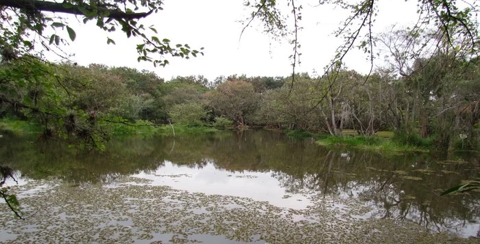 Gobernación del Valle del Cauca adquiere  predios para asegurar abastecimiento de agua