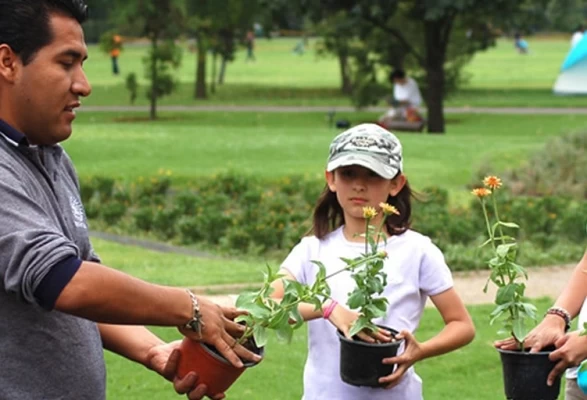 Gobernadora realiza convocatoria para integrar Comité Técnico Interinstitucional Departamental de Educación Ambiental