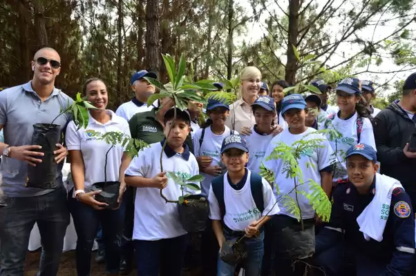 Vallecaucanos comprometidos con la reforestación de los cerros ya se sembraron los primeros mil árboles