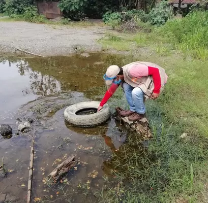 UESVALLE inspeccionará 44 mil sumideros con el fin  de controlar y eliminar el zancudo trasmisor del dengue