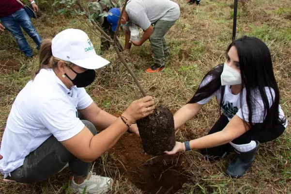 Con la siembra de 1.550 árboles en cuencas prioritarias se cumplió una nueva jornada por un ‘Valle Más Verde’