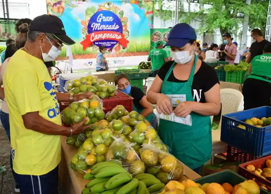 Al menos 15 toneladas de alimentos que llegaron de cinco  municipios se comercializaron en el mercado campesino