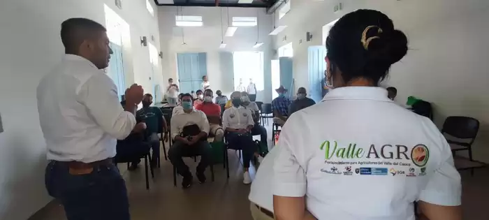 1.150 campesinos se beneficiarán con la segunda versión de la convocatoria Valle Agro