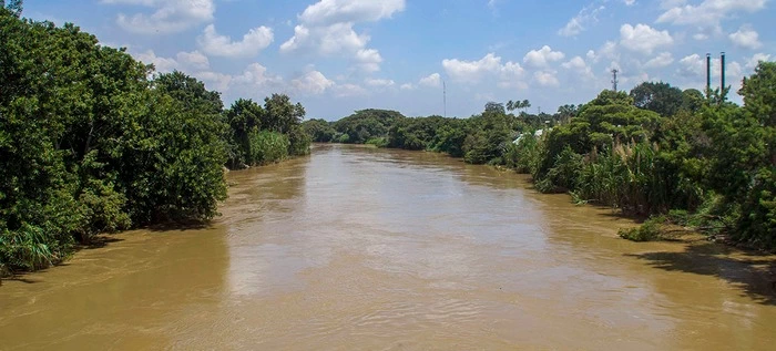 Gestión de la Gobernación aseguró recursos por $4.000 millones para la conservación del corredor biológico del río Cauca