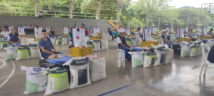 En San Pedro se produce Mora y Plátano de la mejor calidad con el aporte de Valle Agro