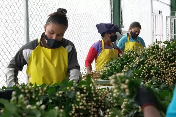 En San Valentín el Valle conquista los mercados internacionales