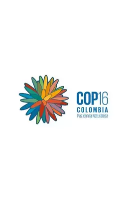 ¿Cuándo se hará la COP16 en el Valle del Cauca y que delegaciones vendrán?