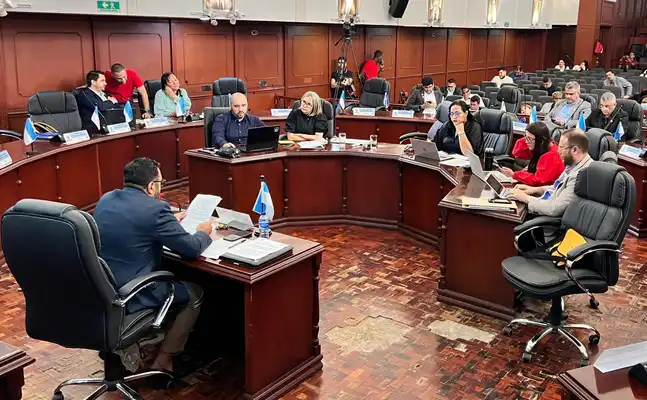 Pasó en primer debate proyecto de ordenanza del fondo para la promoción y salvaguarda del viche